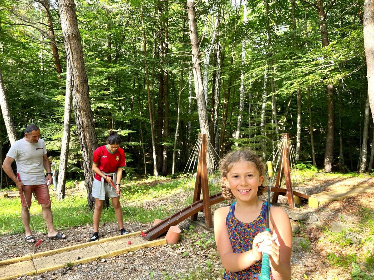 Village De Chalets Et Camping La Pierre De L'Aigle La Bréole エクステリア 写真